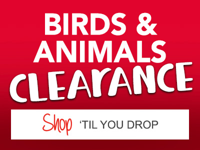 Shop Christmas Birds and Animals